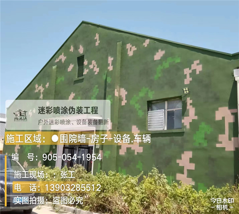 丽江外墙数码迷彩漆施工报价清单（100㎡标准墙面测算）